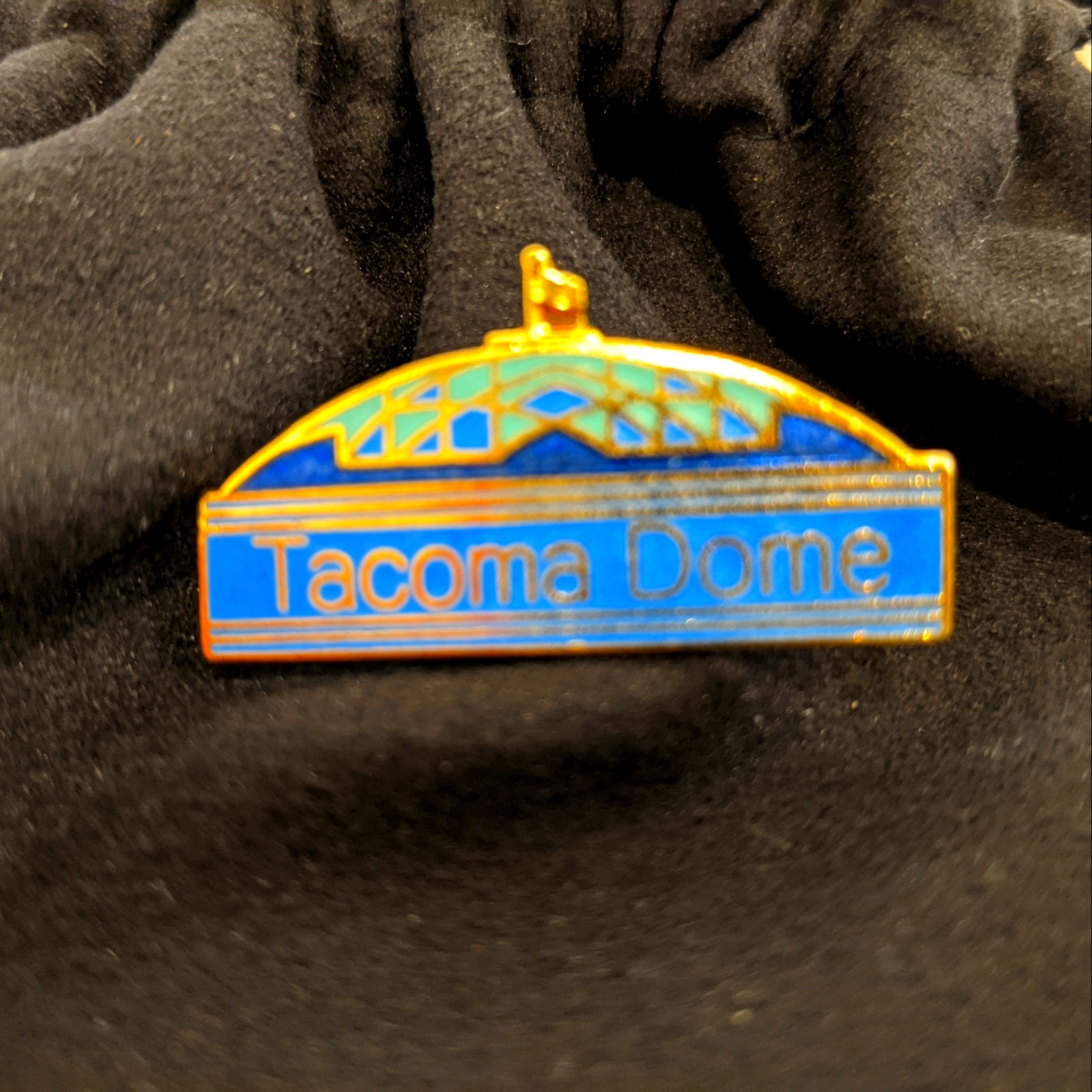 Tacoma Dome Vintage Collectible Pin Rare 1